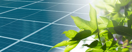 Green energy, Solar panel with green leaf tree for eco power clean zero emission power energy...