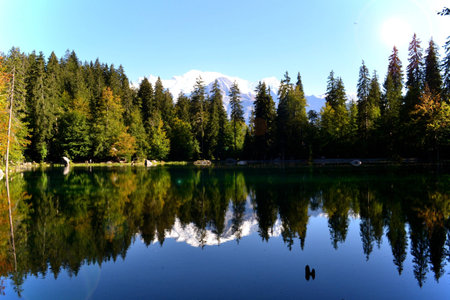 Mont blanc 