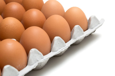 egg isolated on white background
