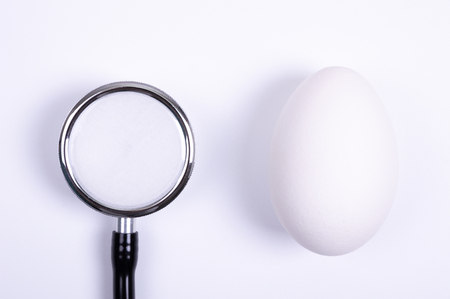 egg with magnifying glassの写真素材