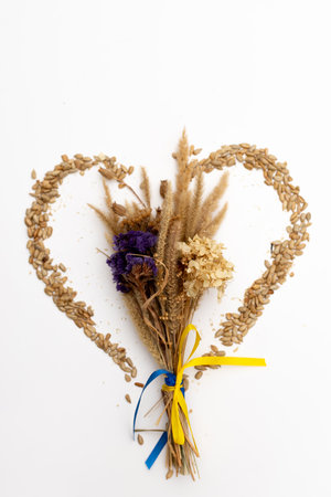 A bouquet of dried flowers with a yellow and blue ribbon on the backgroundの写真素材