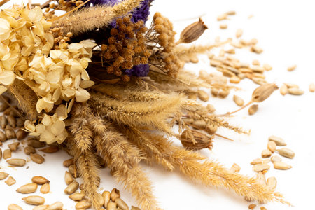 A bouquet of dried flowers with a yellow and blue ribbon on the backgroundの写真素材