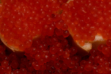 red caviar close-up macro photo background picture full photo red caviar salmon caviar delicacy caviar on breadの写真素材