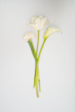 white calla flower close up different viewの写真素材