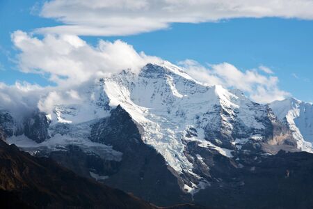 Swiss Mountain Monkの写真素材