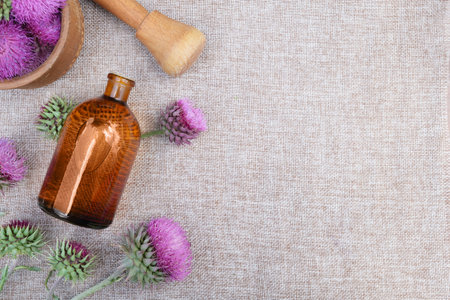 Burdock flower heads, bottle of infusion. Concrept of Herbal or homeopathy medicine. flower essential oil. herbal medicine. Top view, flat lay, copy space for text.の写真素材