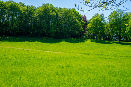Beautiful park view in clear summer dayの写真素材