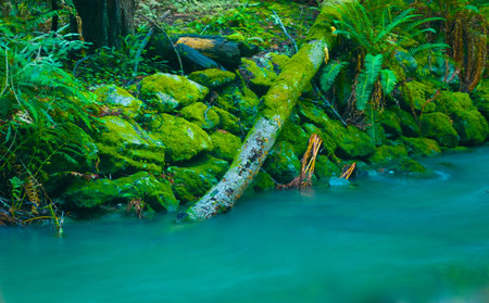 A lazy lagoon with a dream like look to it  