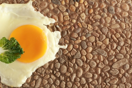 Egg on the rockの写真素材