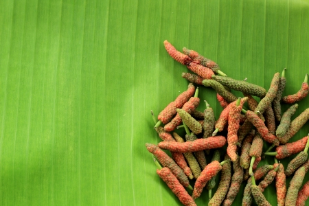 Long Pepper on banana leafの写真素材