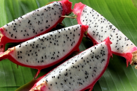 Dragon fruit on the  banana leafの写真素材