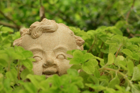 Child in the gardenの写真素材