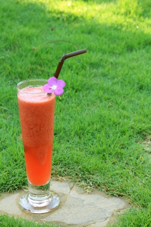 Strawberry smoothie in the gardenの写真素材
