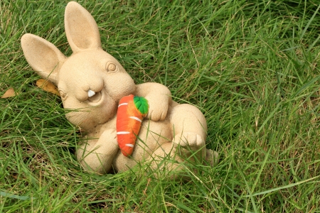 Bunny and carrot の写真素材