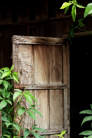 Leaves and door wood old の写真素材