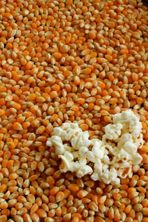 Heart  popcornの写真素材