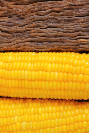 Sweet corn on woodの写真素材
