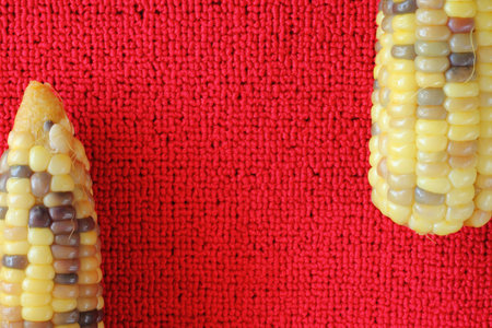 Sweet corn on  red background 