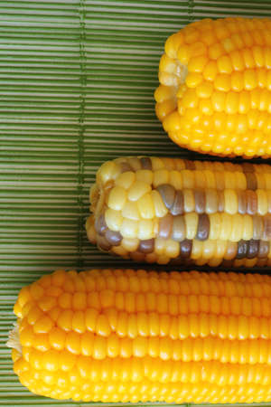 Sweetcorn on a green background の写真素材