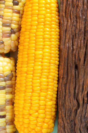 Sweetcorn and woodの写真素材
