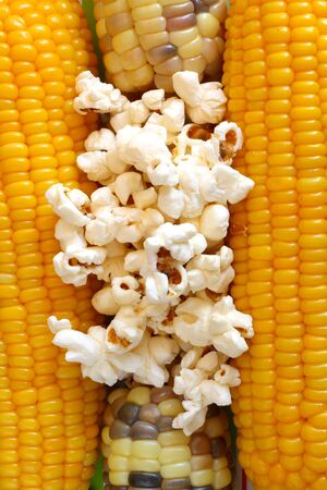 Popcorn and sweetcornの写真素材