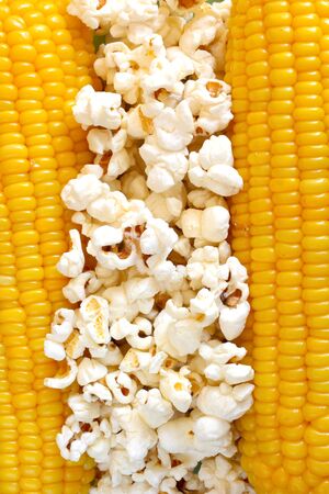 Popcorn and sweetcornの写真素材