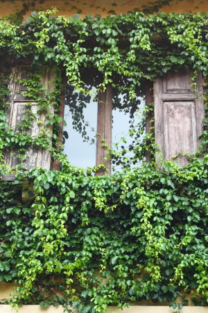 Vintage windowの写真素材