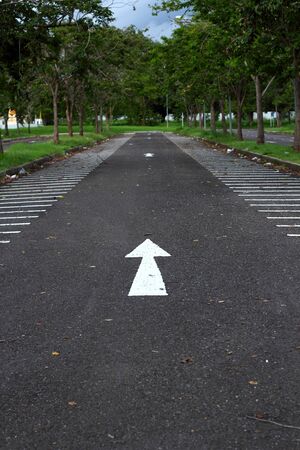 Arrow and treeの写真素材
