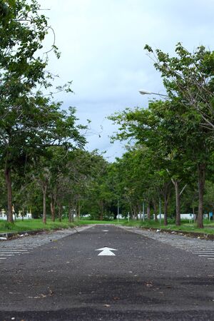Arrow and treeの写真素材