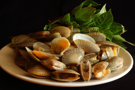 Shellfish on black background の写真素材