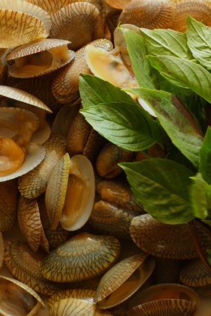 Shellfishの写真素材