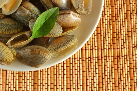 Shellfish on wood background の写真素材