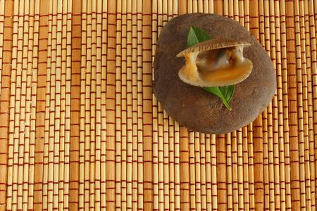 Shellfish on wood background の写真素材