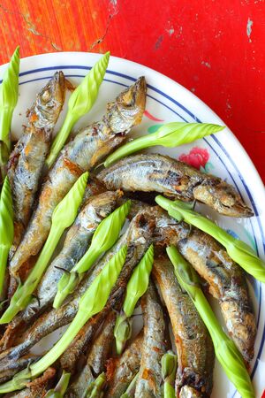 Capelin and moonflowerの写真素材
