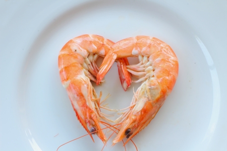 Heart shrimpの写真素材