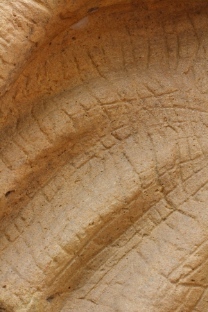 Textureの写真素材