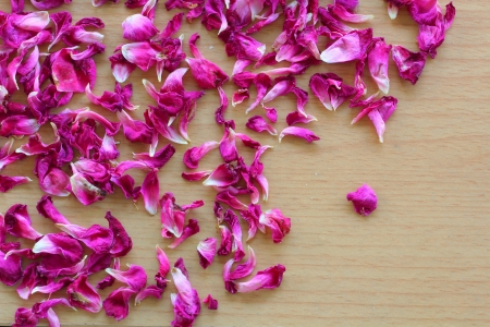 Dry rose の写真素材