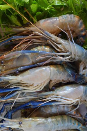 Shrimp and Vegetablesの写真素材