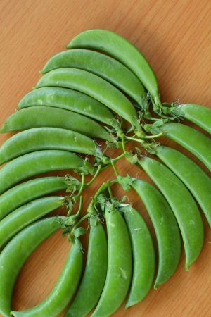 Snow peasの写真素材