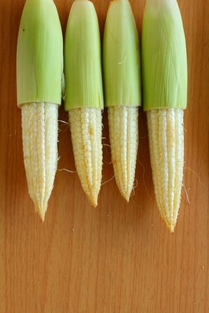 Baby cornの写真素材