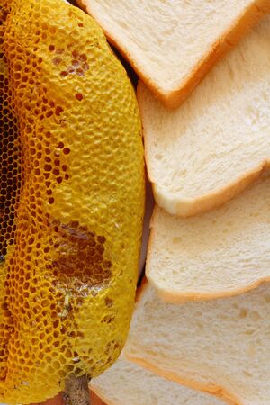 Honey and breadの写真素材