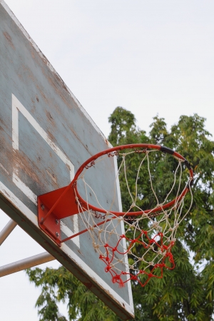 Basketball の写真素材