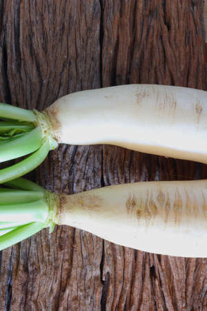 Radishの写真素材