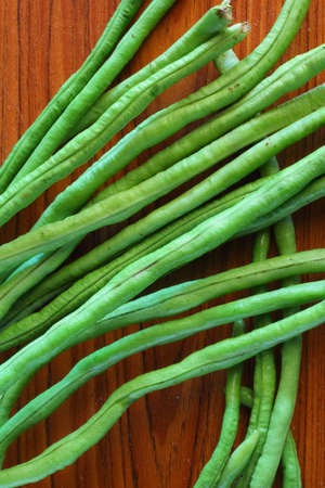 Yardlong beanの写真素材