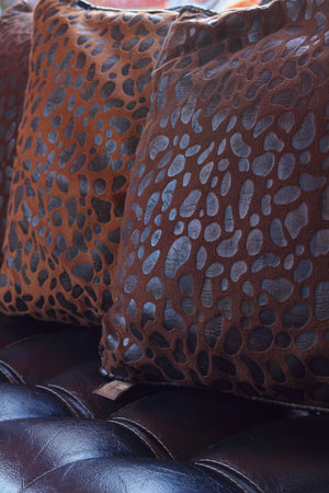 Sofa cushions の写真素材