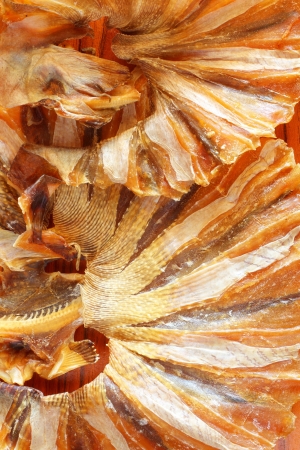 Dried fish の写真素材
