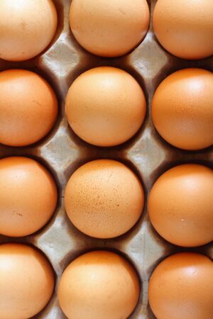 Eggs in cartonの写真素材