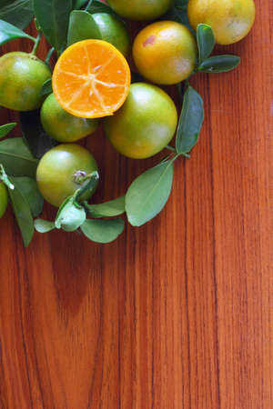 Orangeの写真素材