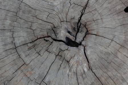 Old wood の写真素材