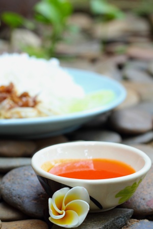 Squid with garlic and pepper and Sauceの写真素材